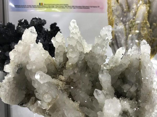 Expoziție de minerale din România Articol